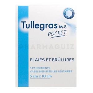 Tullegras Pocket (5 Pansements)