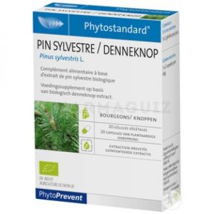 Phytostandard Pin Sylvestre 20 gélules