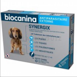 Synergix Spot-On petits chiens (4-10kg)