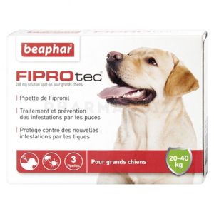 FIPROtec, pipettes antiparasitaires pour grand chien (20-40 Kg) au Fipronil