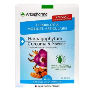 Arkopharma Harpagophytum Curcuma et pipérine 40 gélules