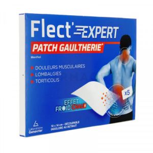 Flect'Expert Patch Gaulthérie x5