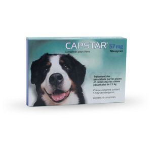 CAPSTAR 57MG COMPRIME 6 antipuces chien